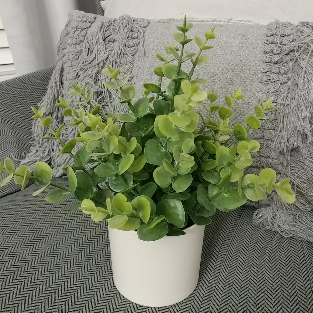 Boxwood Faux Plant Artificial Green Boxwood Arrangement White Planter- Threshold